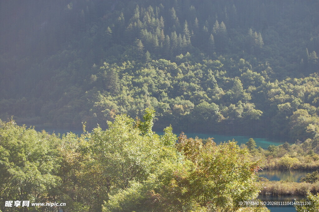 山林间的秀丽自然景致