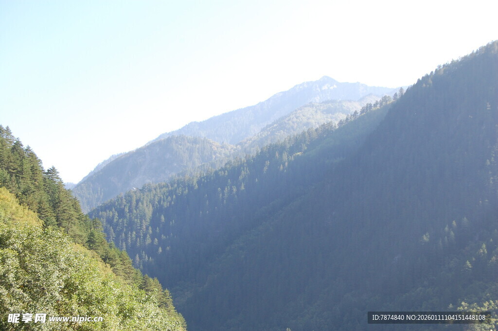 青山巍峨 山林葱郁之景