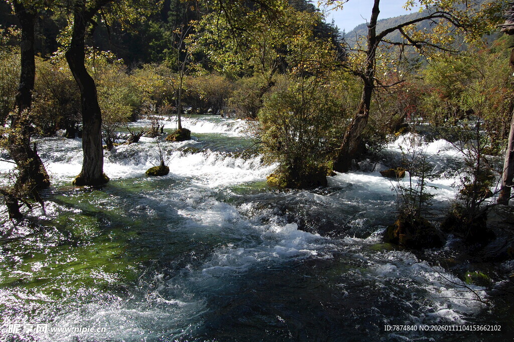 山间湍急溪流与茂密树林