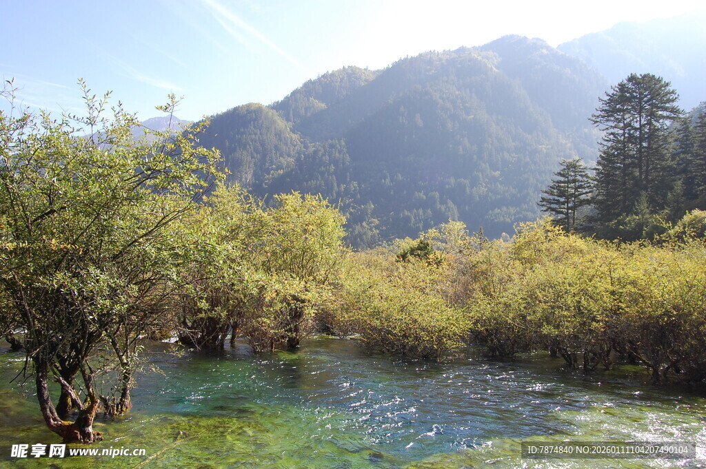 山间清澈溪流与葱郁植被
