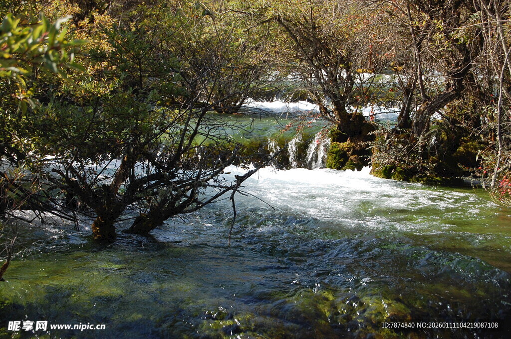山间溪流潺潺的自然美景