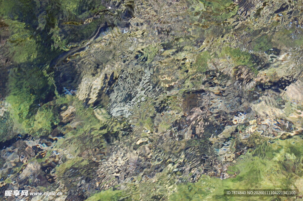 水底景象 石块与水草