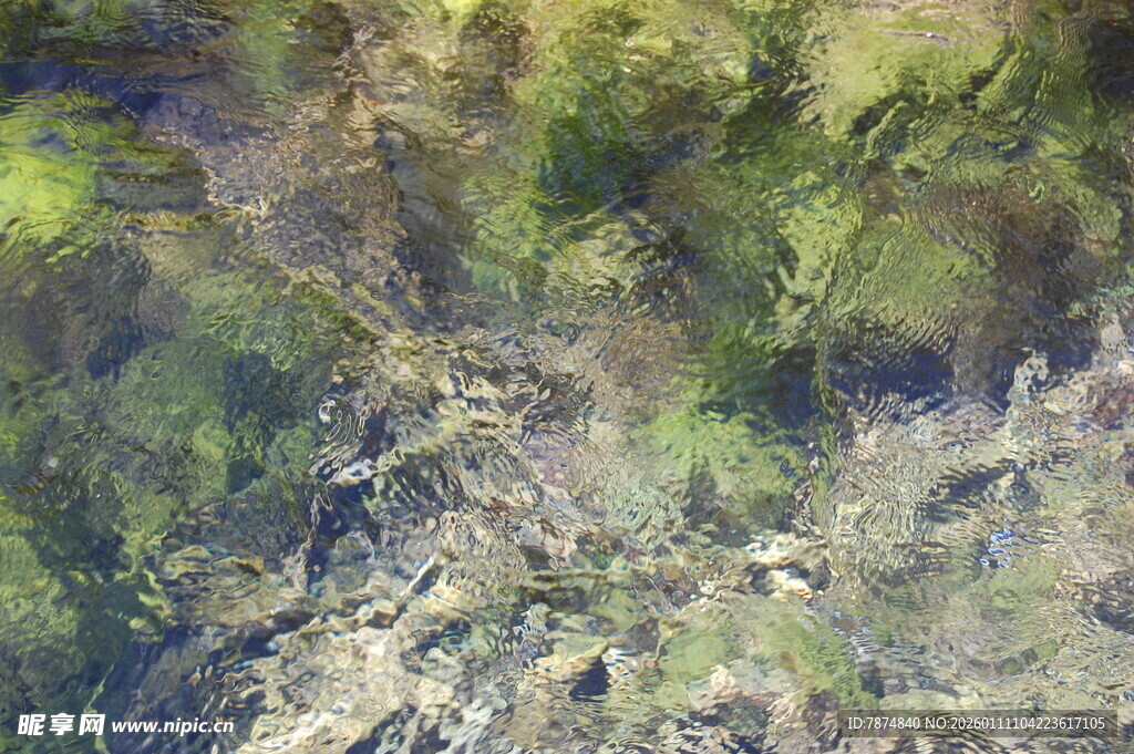 俯瞰繁茂植被景观