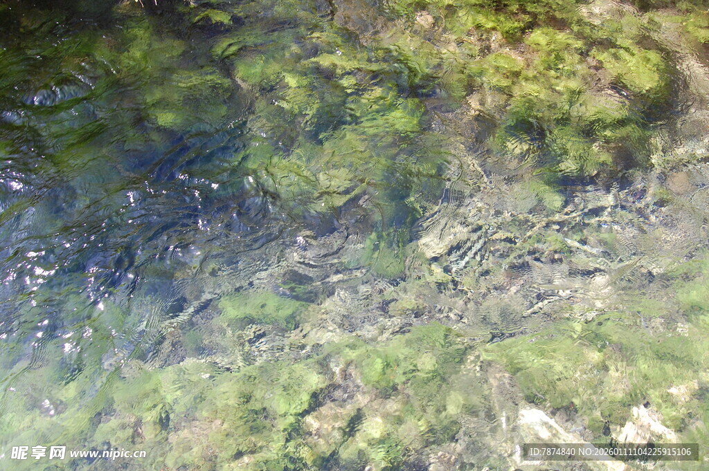 水底绿植景观