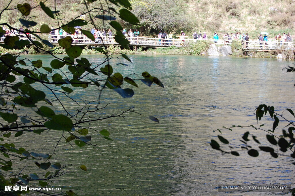 湖畔景致 枝叶掩映的静谧