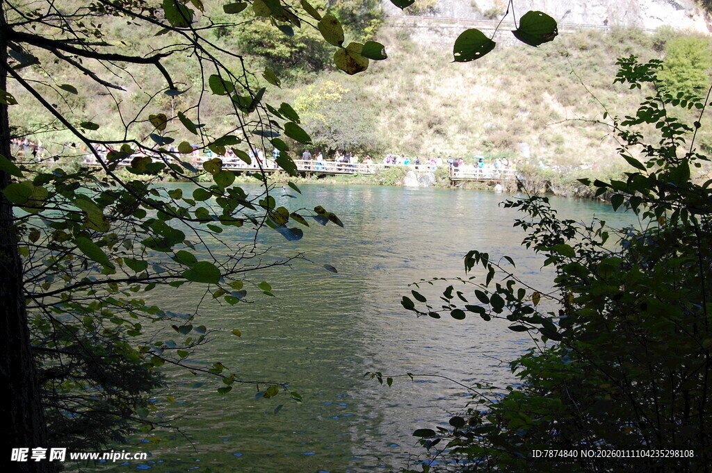 林间静谧湖水景致