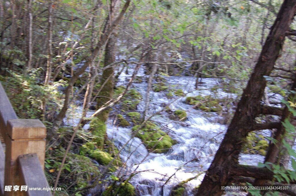 山林间潺潺溪流景观