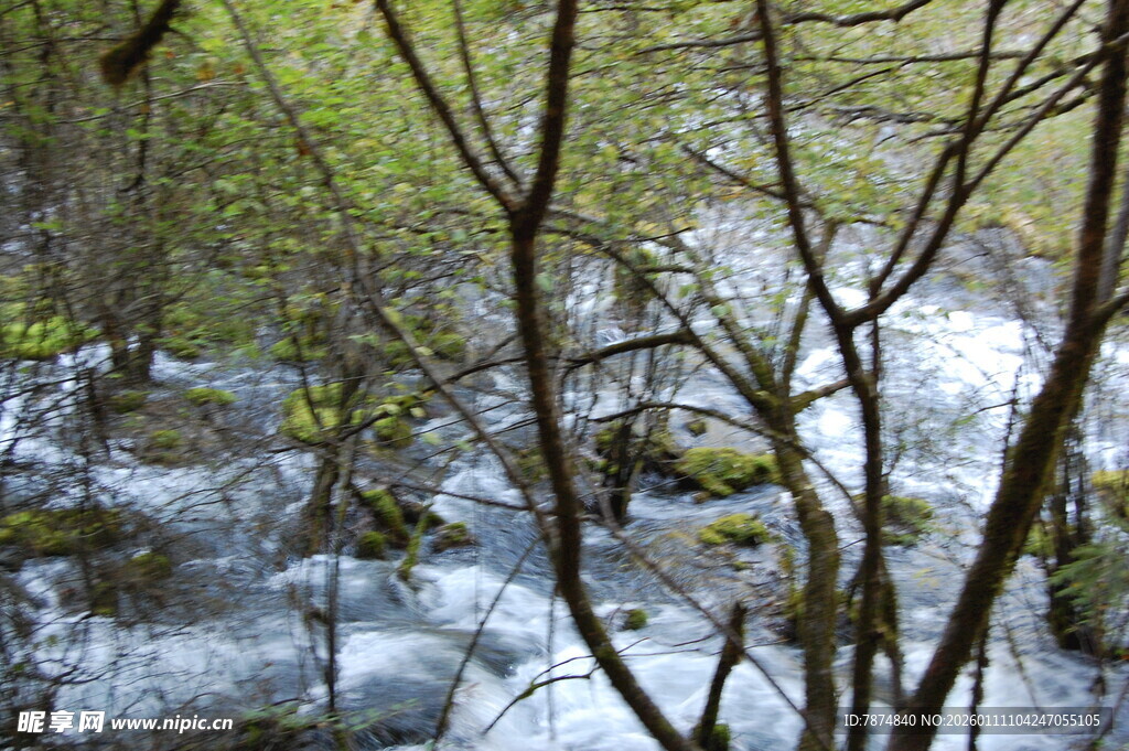 山间溪流穿林而过
