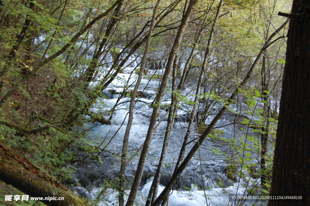 林间溪流瀑布自然美景