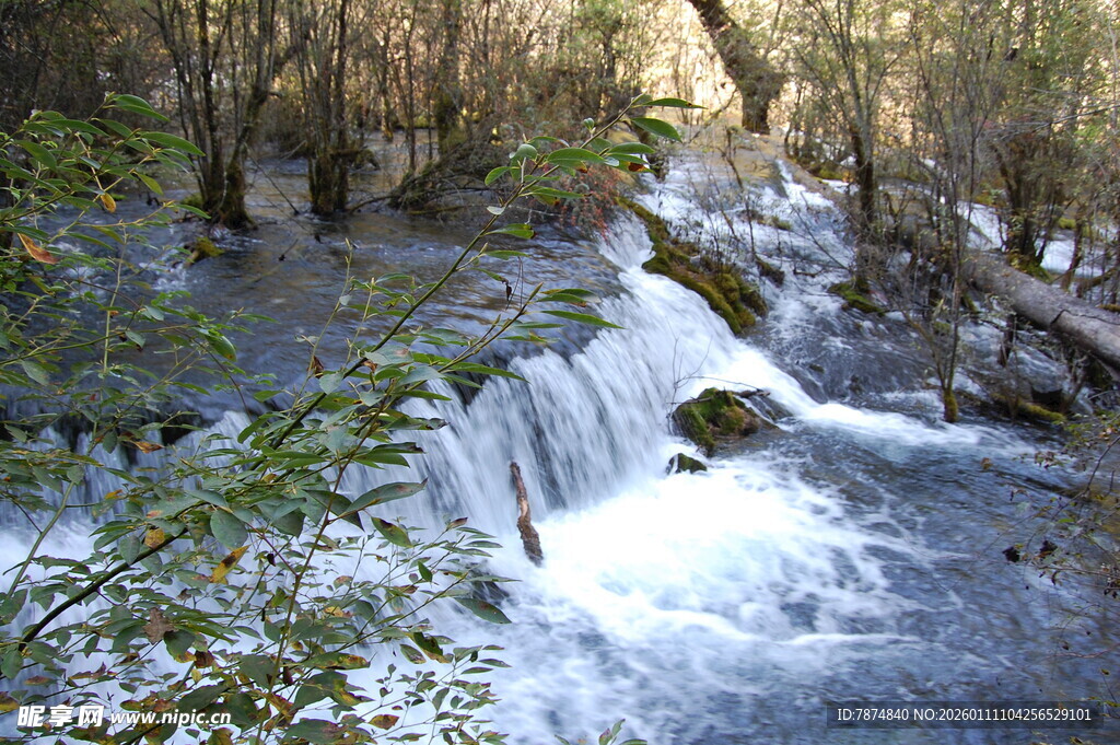 山间溪流潺潺 自然美景