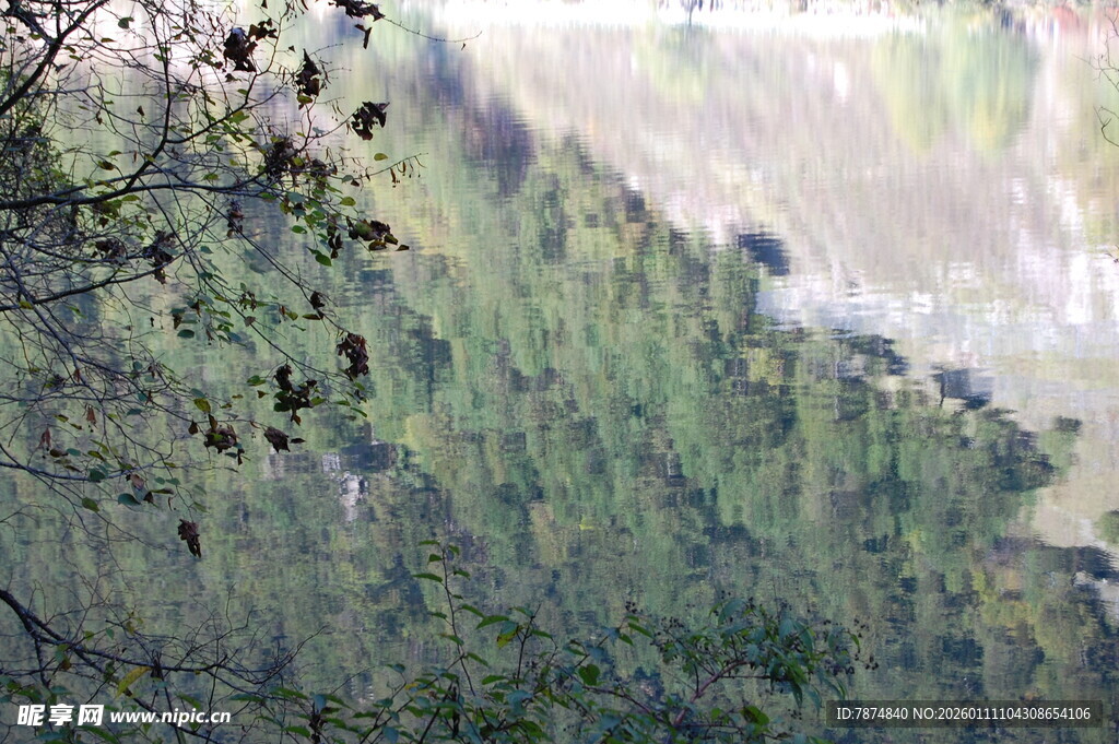 山间葱郁植被景观