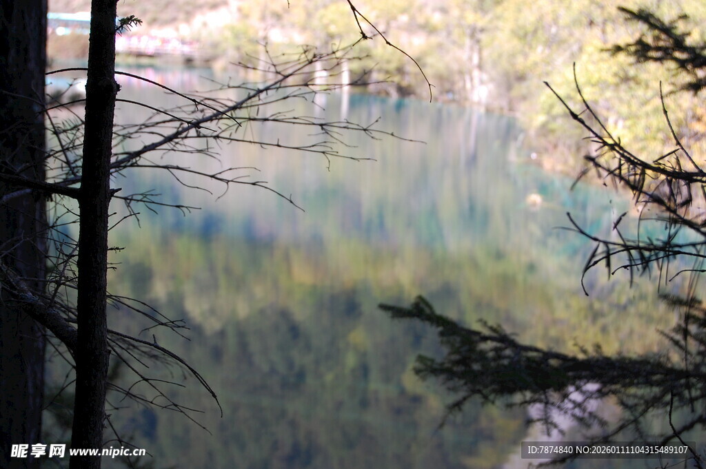 林间湖水倒影美景