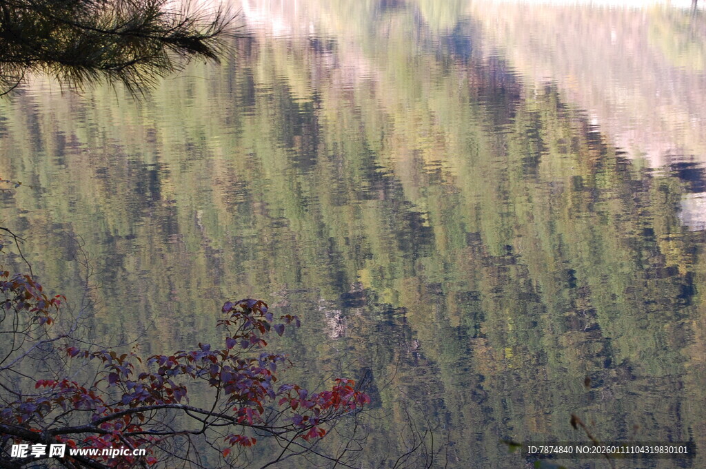 山林间的翠绿景致