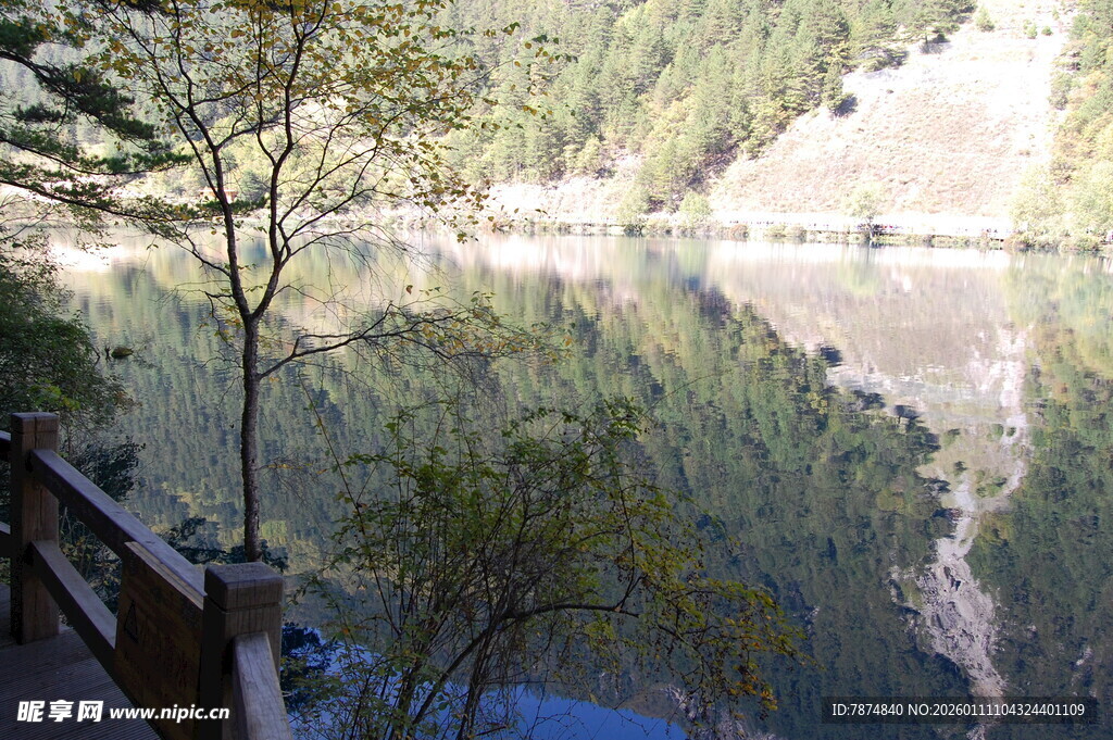 宁静湖景 岸边绿树倒影