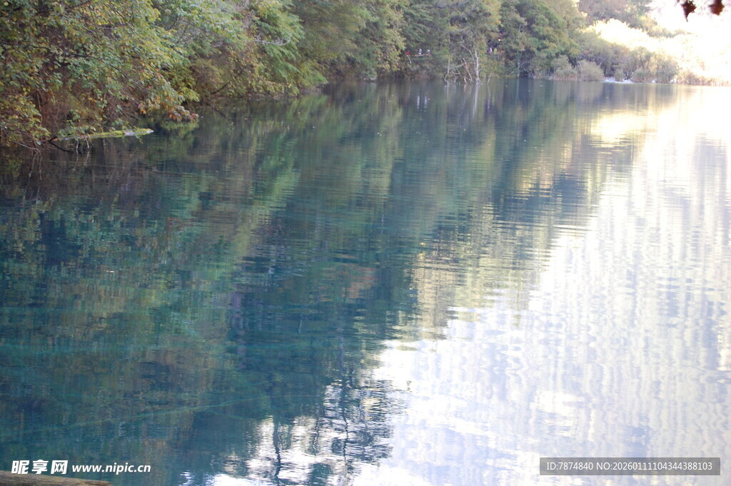 清澈湖水映山林美景