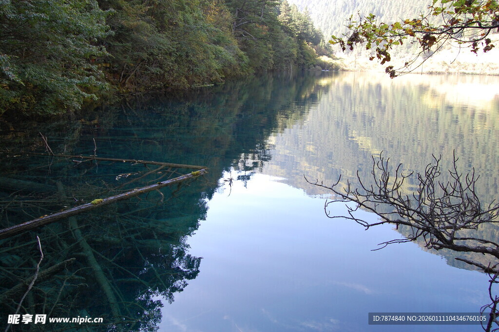 静谧幽潭 倒映自然之美