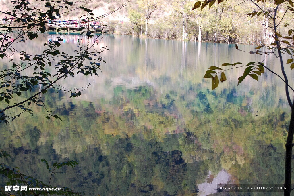 湖畔春景 繁花绿树相映