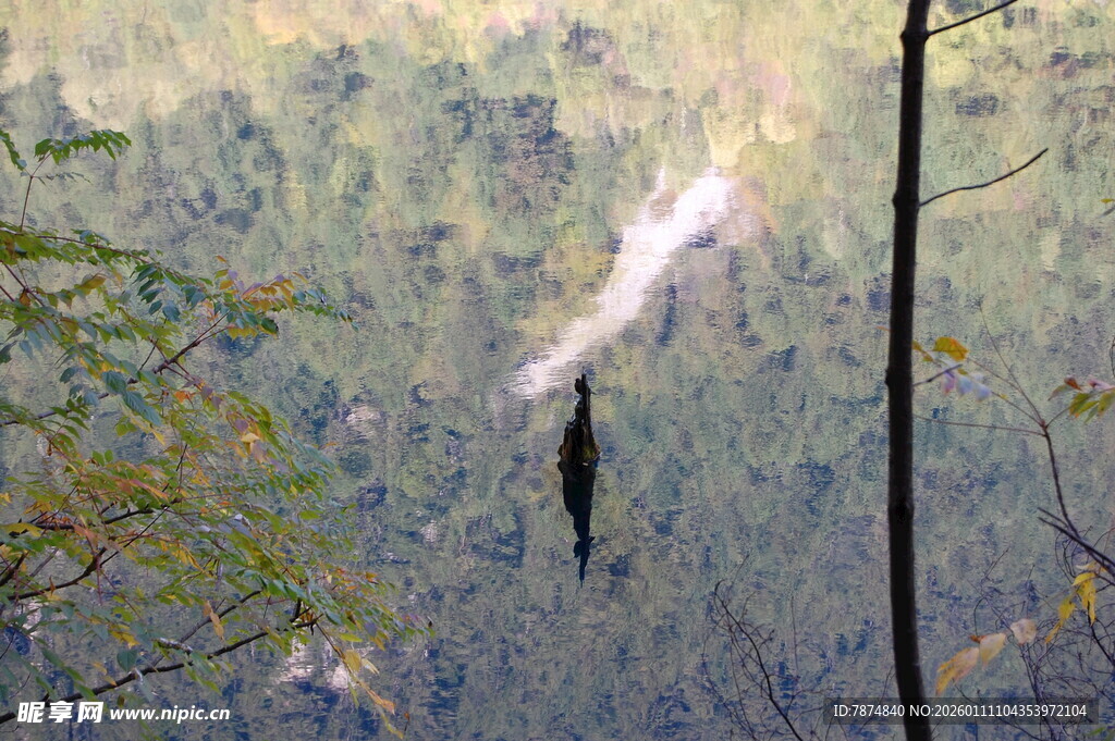 林间飞鸟与缥缈烟雾