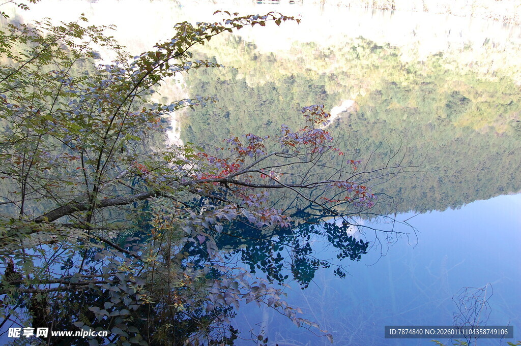 湖畔树影 静谧山水景致