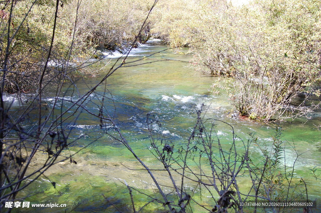 山间溪流 绿意盎然之景