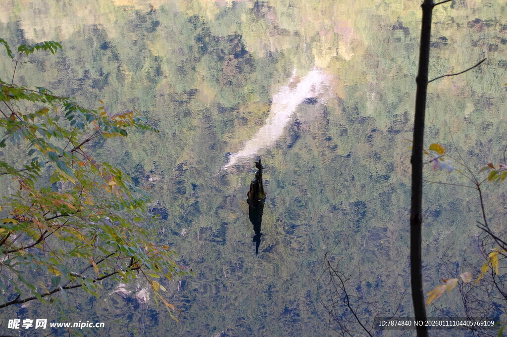 森林中飞翔的灵动飞鸟