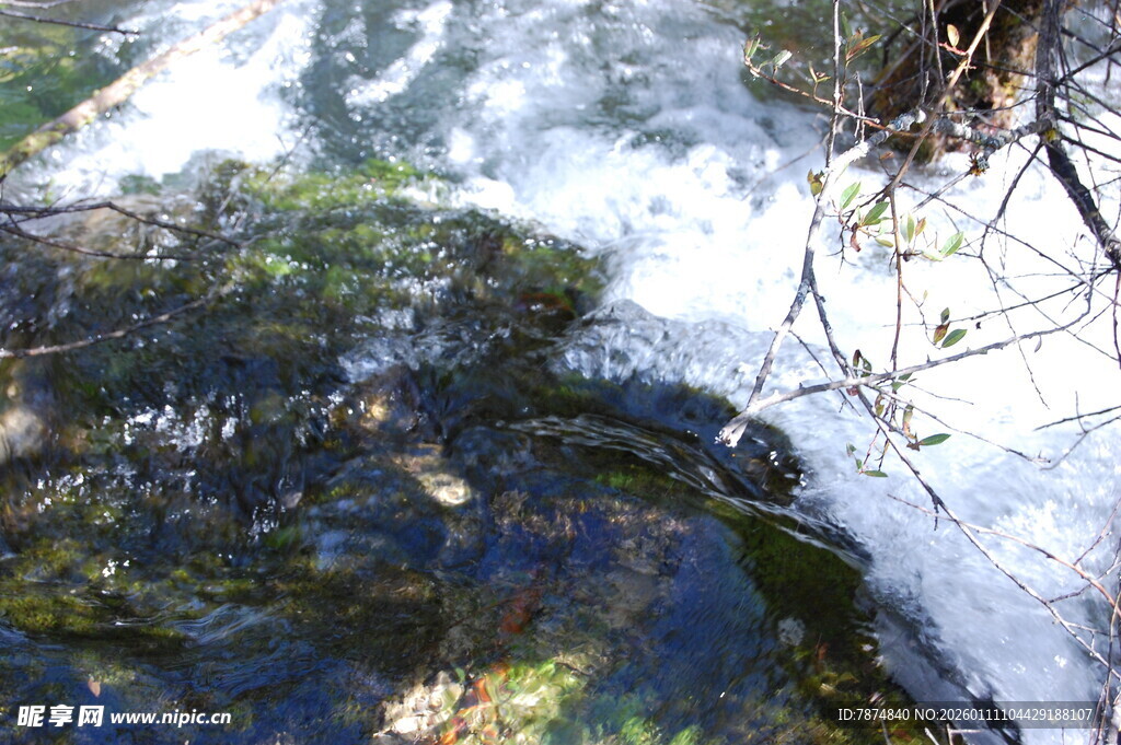 冬日溪流覆薄冰景象