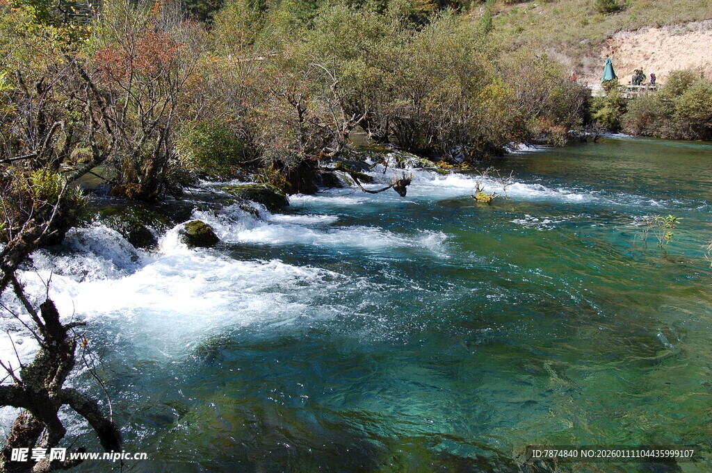 山间清澈溪流美景