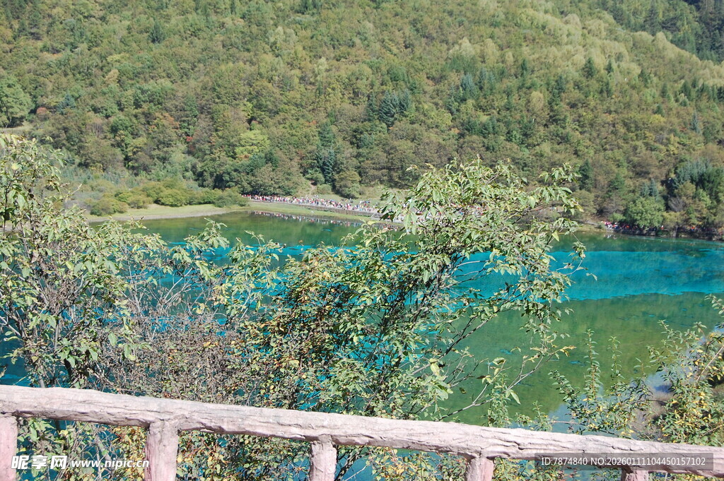 湖畔美景 绿意环绕的湖水
