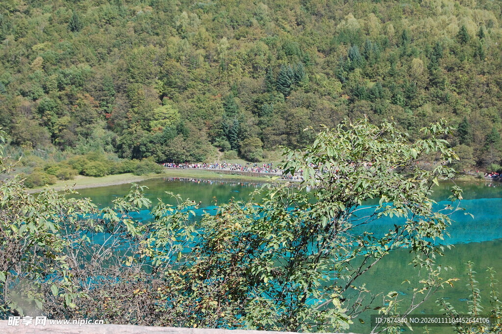 青山绿水间的秀丽湖景