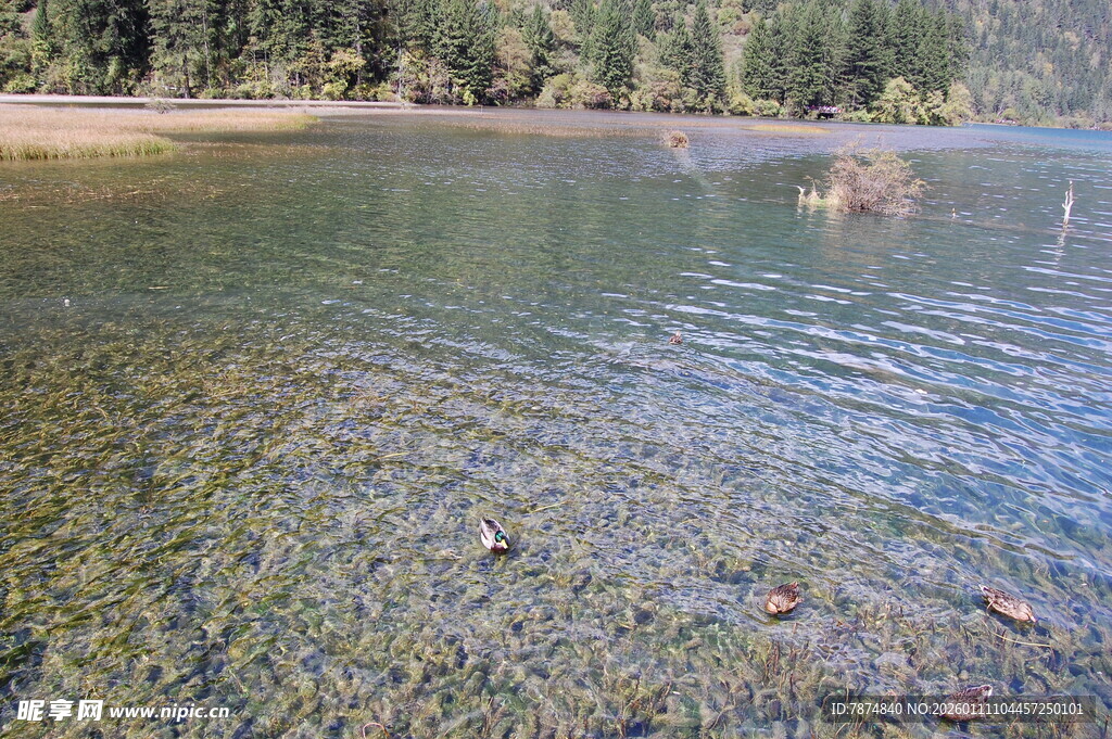 清澈湖水与岸边景致