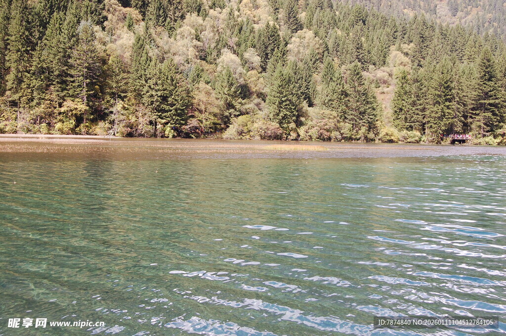 宁静湖畔的葱郁山林