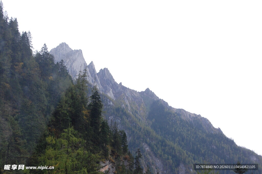 巍峨青山 绿意盎然