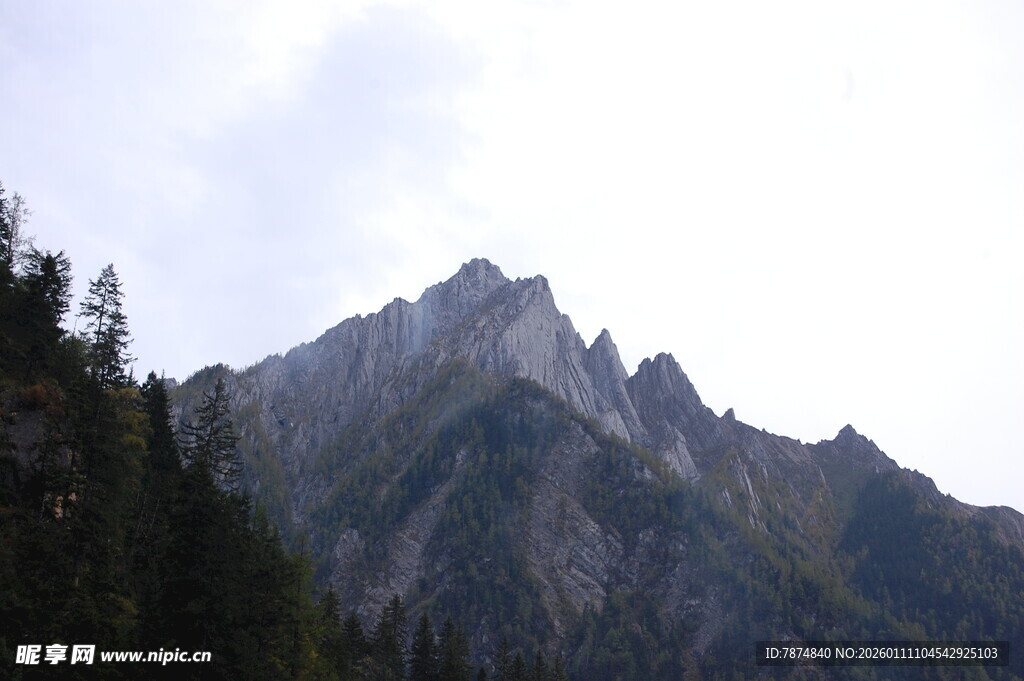 巍峨山峰与茂密山林
