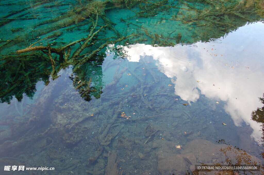 清澈水底的奇幻景象