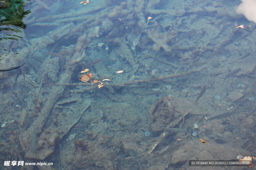 清澈水底的神秘残骸