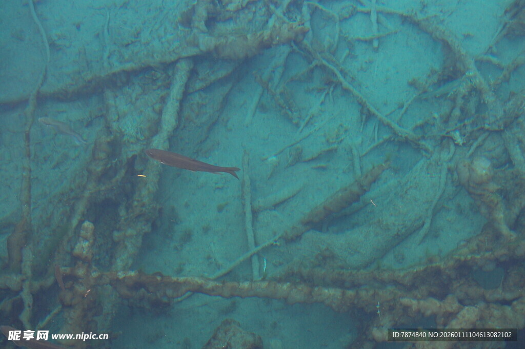 海底沉船残骸景象