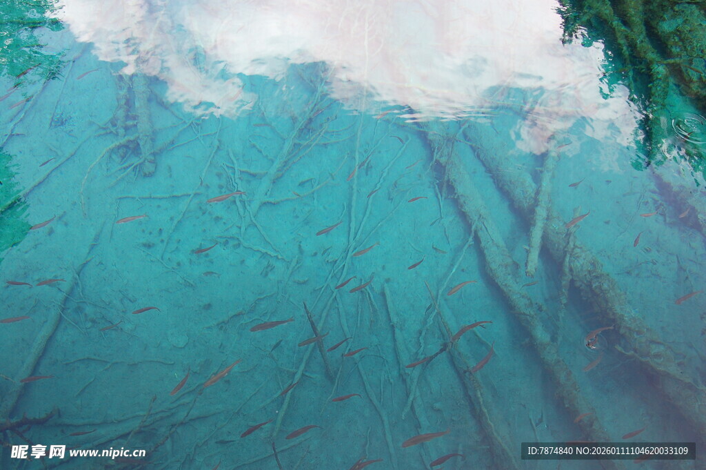 清澈水面倒映树木天空