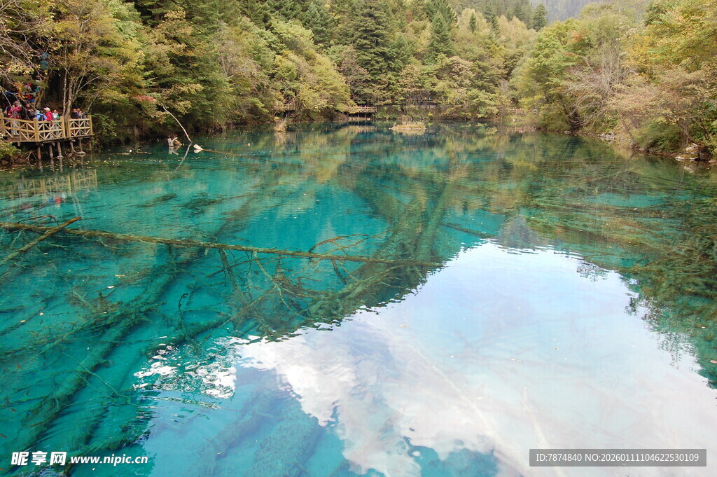 清澈碧绿的林间湖水