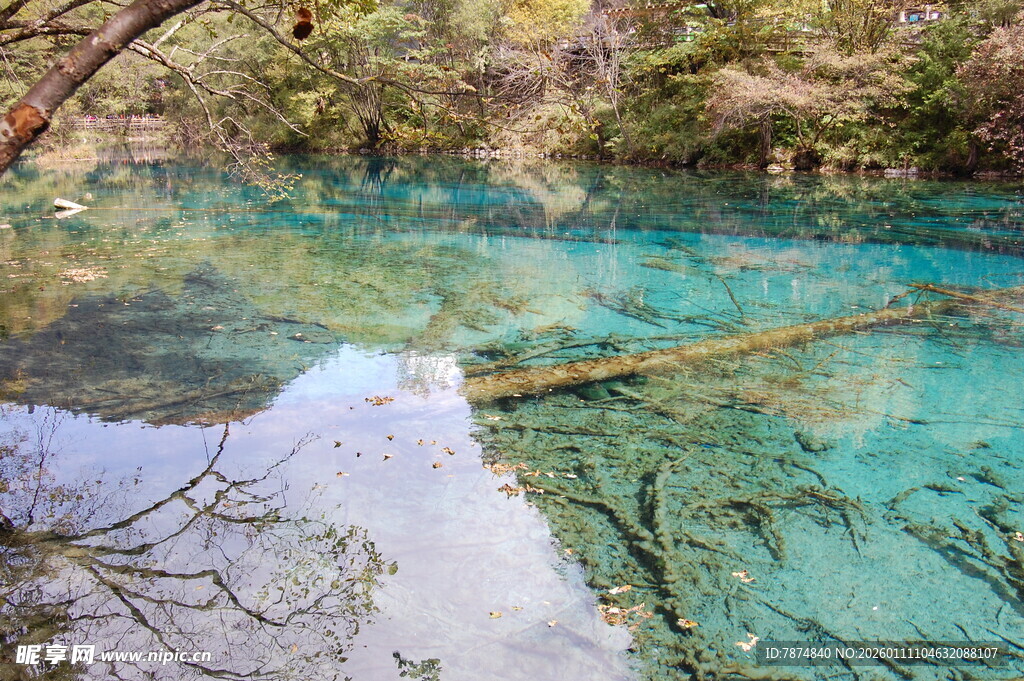 清澈蓝绿相间的自然水域