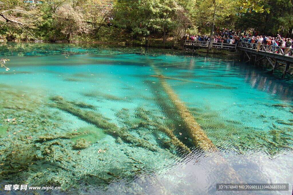 清澈见底的水下景观奇观