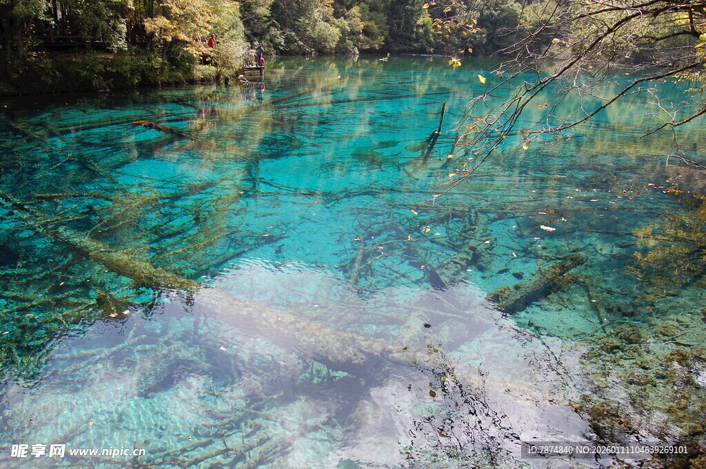 清澈碧蓝的水下世界