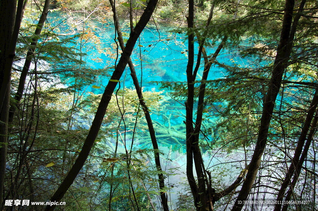 森林环绕的清澈蓝湖