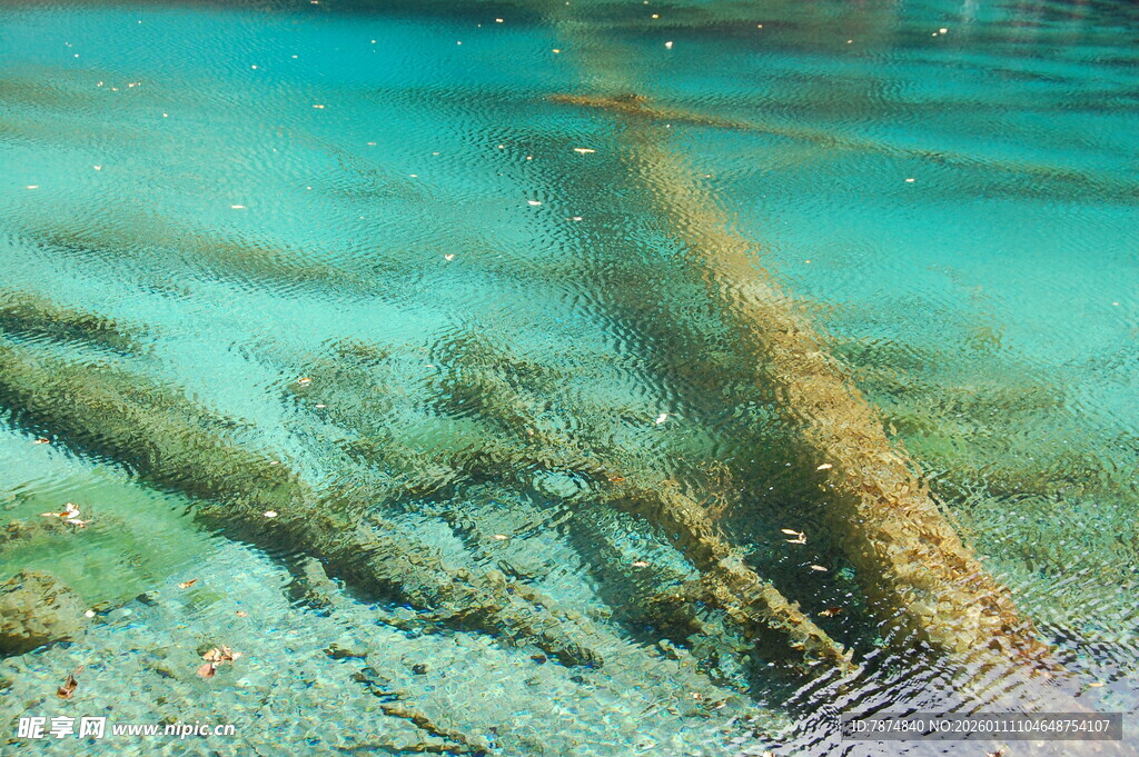 清澈水下的古老木质残骸