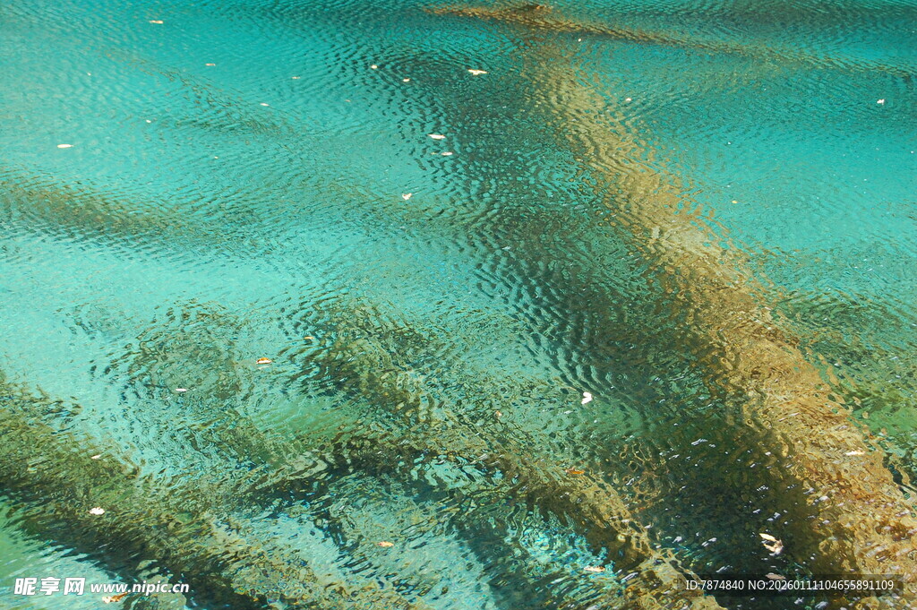 水下神秘残骸景象