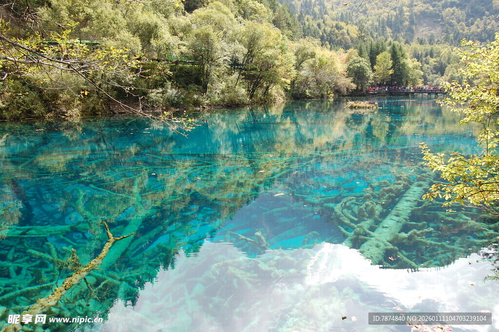 梦幻蓝绿色清澈湖水景观