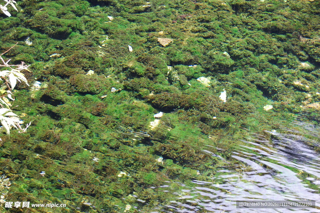 俯瞰葱郁山林与水域