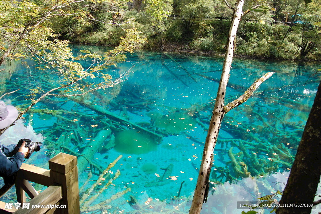 九寨沟清澈蓝绿色湖水景观