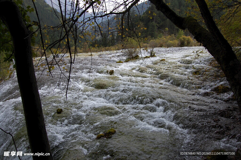 山间湍急溪流穿行于树林