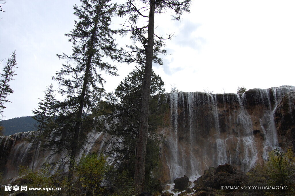 壮观瀑布旁的挺拔树木