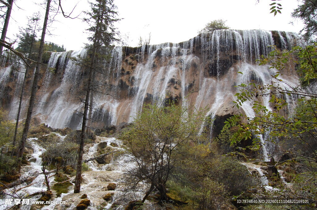 壮观森林瀑布自然美景